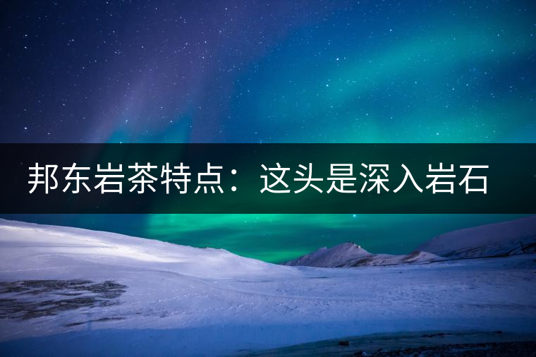 邦東巖茶特點(diǎn)：這頭是深入巖石的根，那頭是臨風(fēng)飄香的古韻