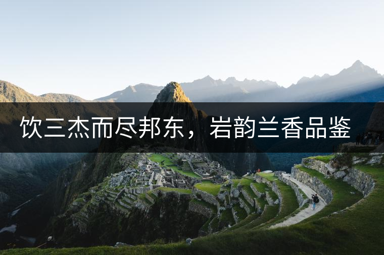 飲三杰而盡邦東，巖韻蘭香品鑒：生于山石上，韻味正當