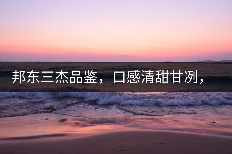 邦東三杰品鑒，口感清甜甘冽，香氣富于變化