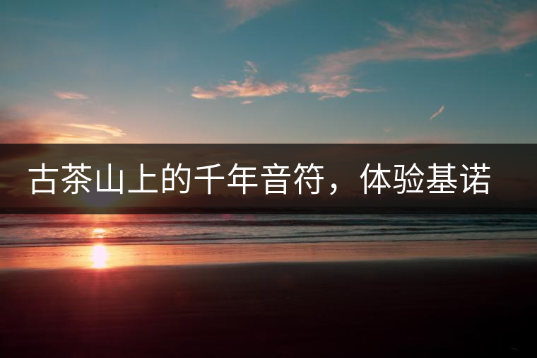 古茶山上的千年音符，體驗基諾山寨