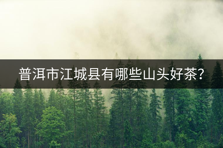 普洱市江城縣有哪些山頭好茶？
