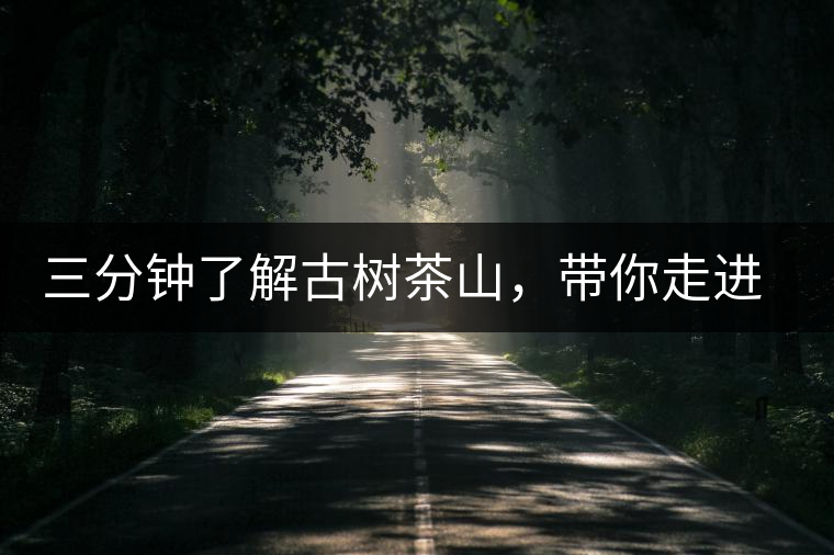 三分鐘了解古樹茶山，帶你走進(jìn)西蒙佛殿山