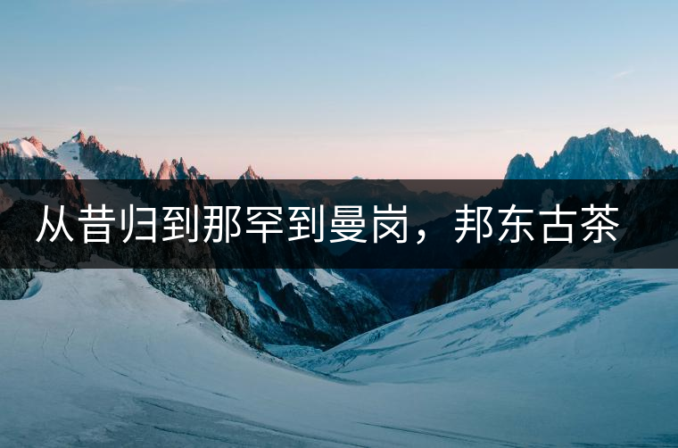 從昔歸到那罕到曼崗，邦東古茶藏著一條規(guī)律！