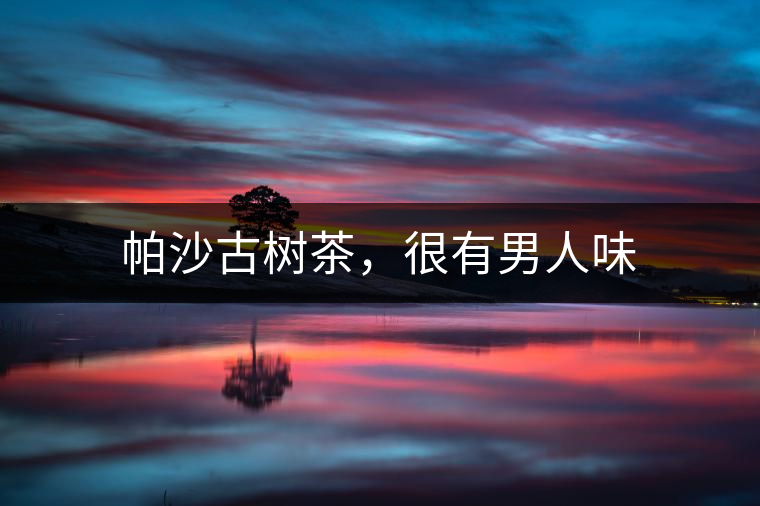 帕沙古樹茶，很有男人味