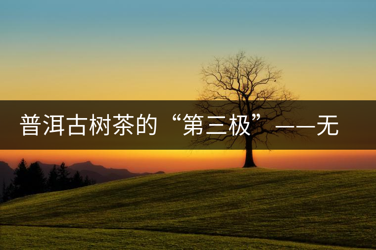 普洱古樹(shù)茶的“第三極”——無(wú)量山茶區(qū)