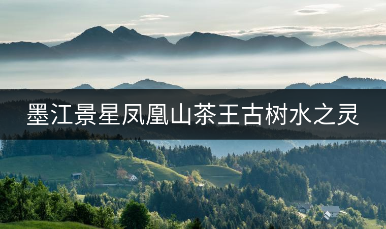 墨江景星鳳凰山茶王古樹(shù)水之靈