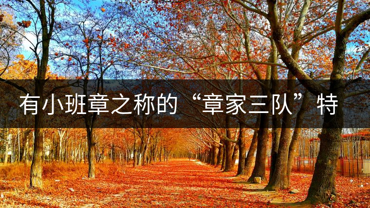有小班章之稱的“章家三隊(duì)”特點(diǎn)介紹