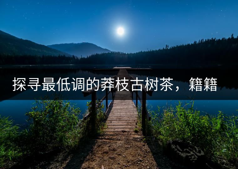 探尋最低調(diào)的莽枝古樹茶，籍籍無名出好茶