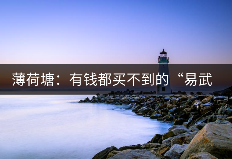 薄荷塘：有錢(qián)都買(mǎi)不到的“易武貴胄”，卓爾不群，無(wú)茶可及