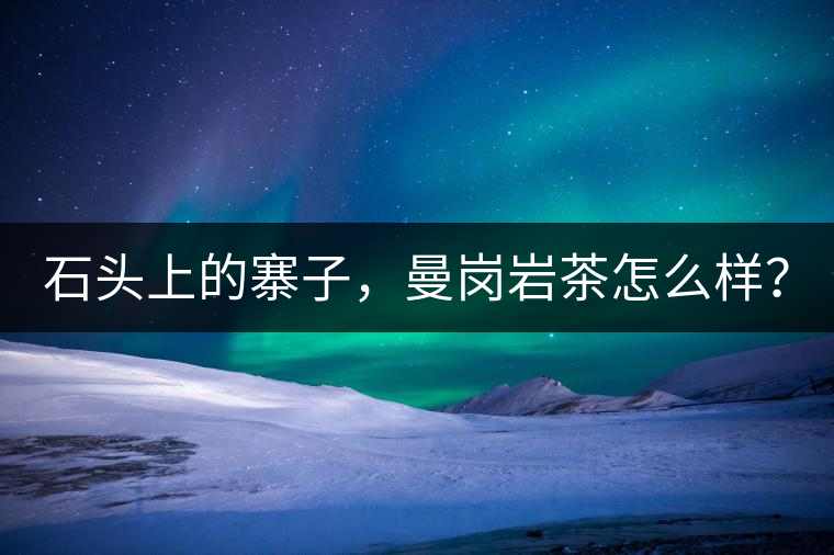 石頭上的寨子，曼崗巖茶怎么樣？