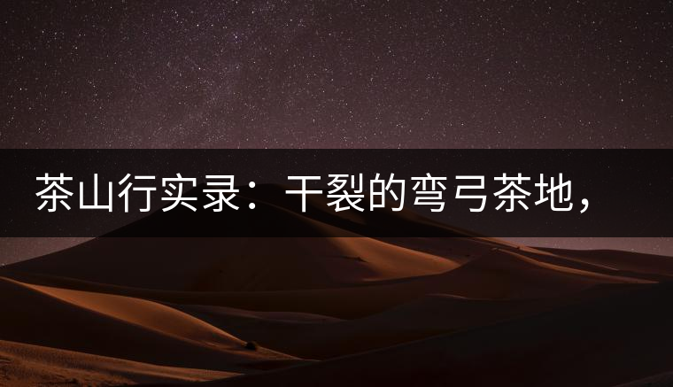 茶山行實(shí)錄：干裂的彎弓茶地，干旱減產(chǎn)已成定局