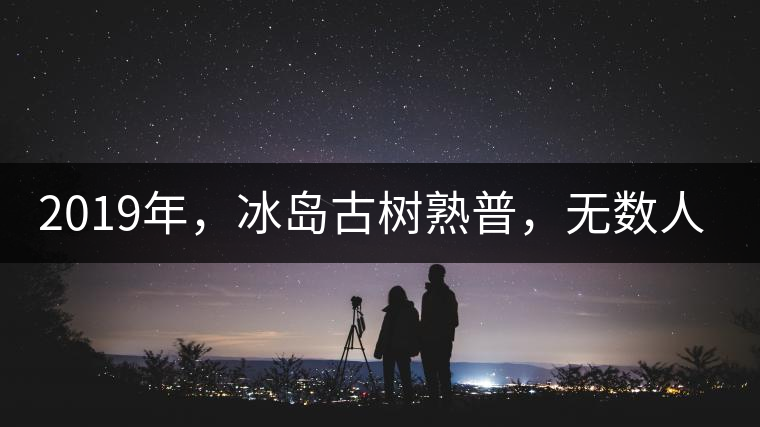 2019年，冰島古樹熟普，無數(shù)人在尋找