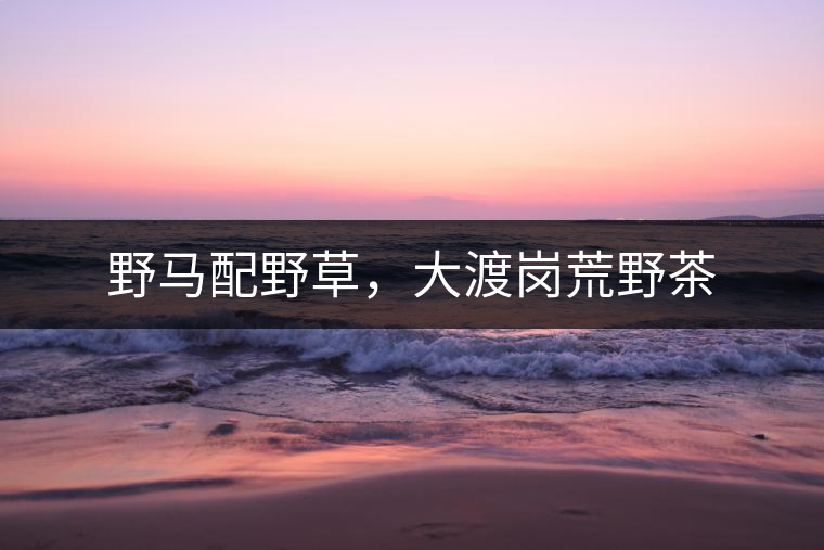 野馬配野草，大渡崗荒野茶