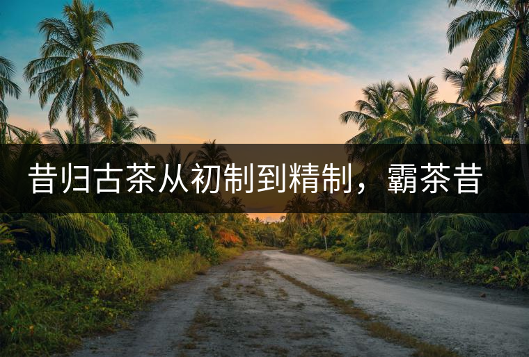昔歸古茶從初制到精制，霸茶昔歸茶農(nóng)專業(yè)合作社成立