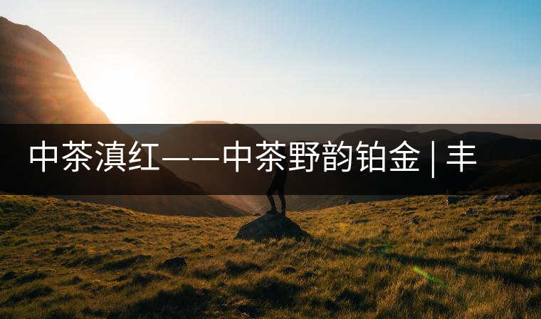 中茶滇紅——中茶野韻鉑金 | 豐苗挺秀，山野花香