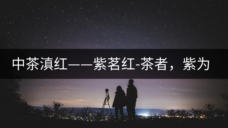 中茶滇紅——紫茗紅-茶者，紫為上