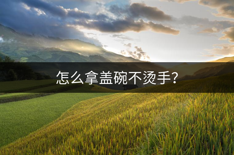 怎么拿蓋碗不燙手？