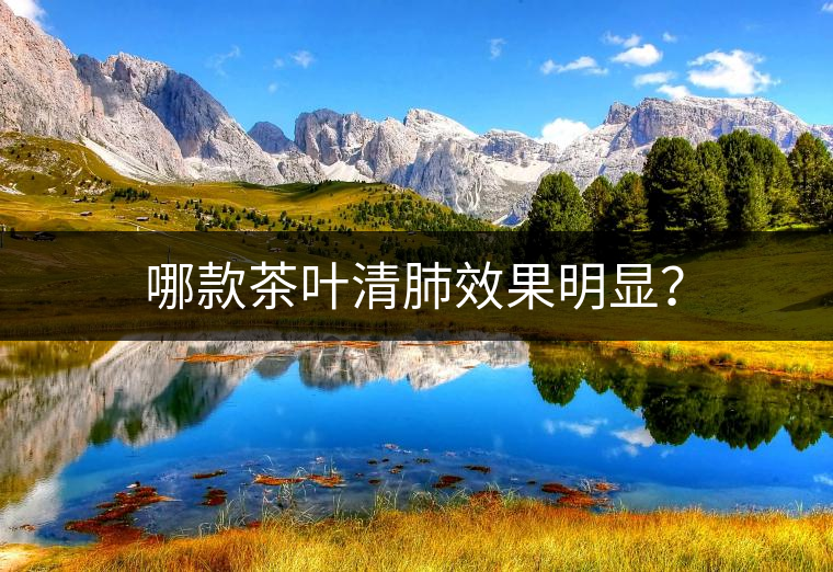 哪款茶葉清肺效果明顯？