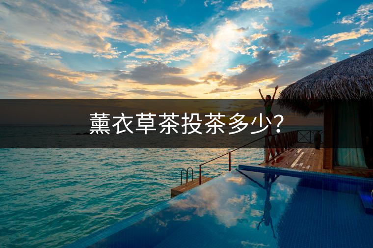 薰衣草茶投茶多少？