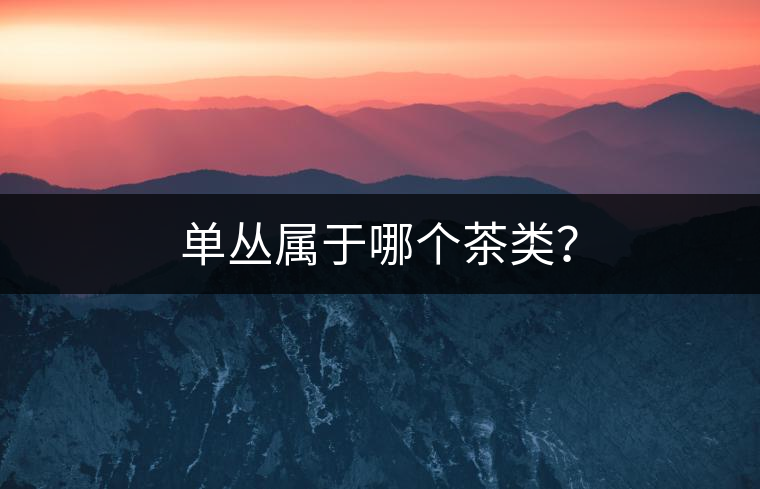 單叢屬于哪個茶類？
