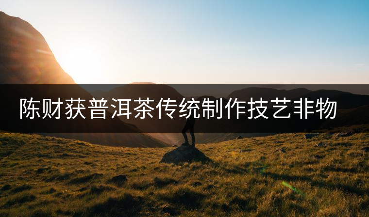 陳財(cái)獲普洱茶傳統(tǒng)制作技藝非物質(zhì)文化遺產(chǎn)傳承人榮譽(yù)稱號