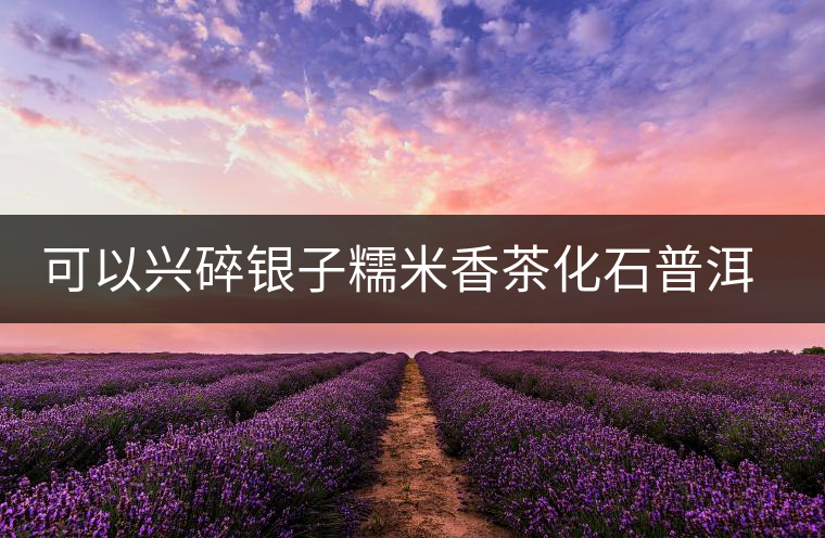 可以興碎銀子糯米香茶化石普洱茶熟茶特級(jí)易武古樹茶葉禮盒裝送禮