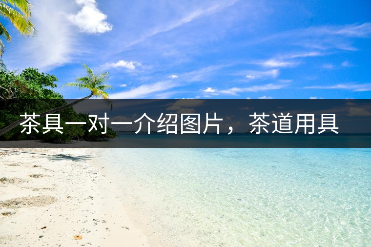 茶具一對一介紹圖片，茶道用具圖解