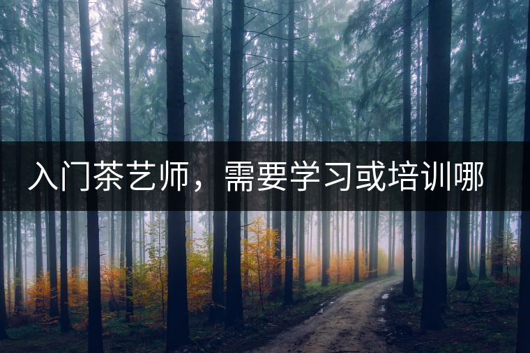 入門茶藝師，需要學習或培訓哪些知識