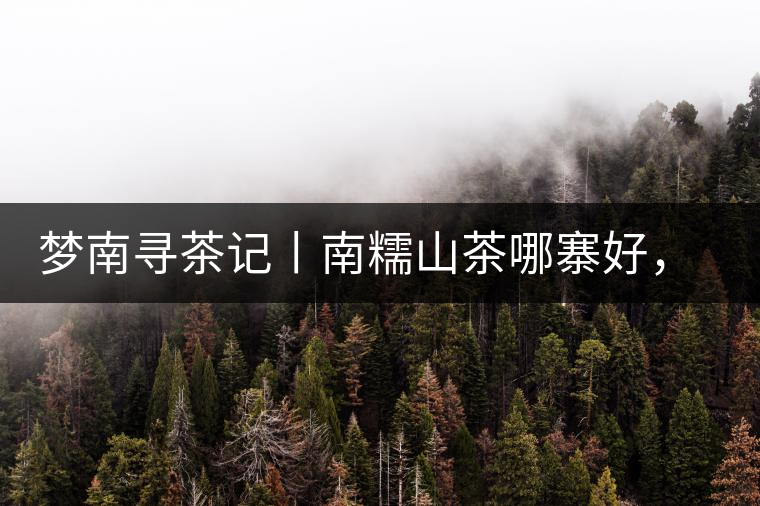 夢南尋茶記丨南糯山茶哪寨好，半坡老寨數(shù)第一