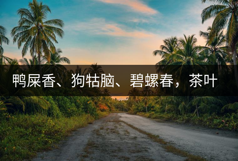 鴨屎香、狗牯腦、碧螺春，茶葉到底是如何被命名的