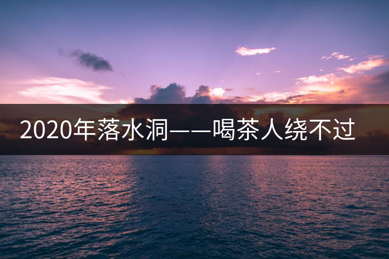2020年落水洞——喝茶人繞不過的溫柔鄉(xiāng)！-易武中聘號