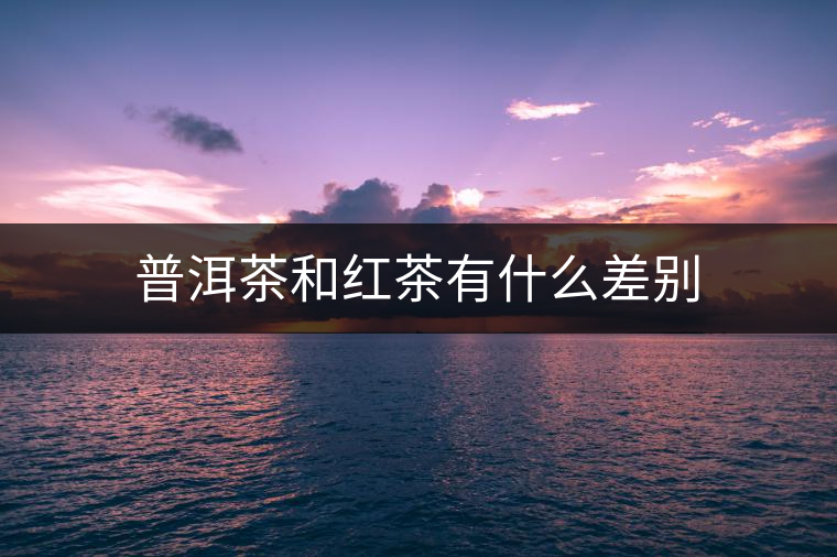 普洱茶和紅茶有什么差別 普洱茶和紅茶有什么差別