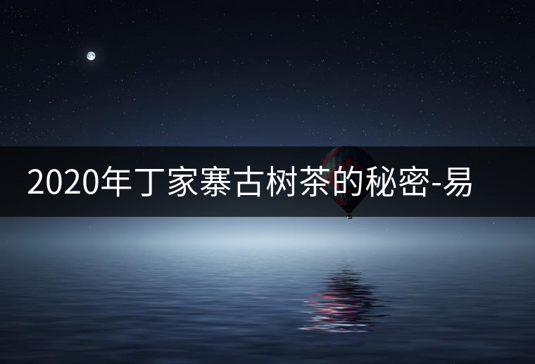 2020年丁家寨古樹茶的秘密-易武中聘號 2020年丁家寨古樹茶的秘密-易武中聘號