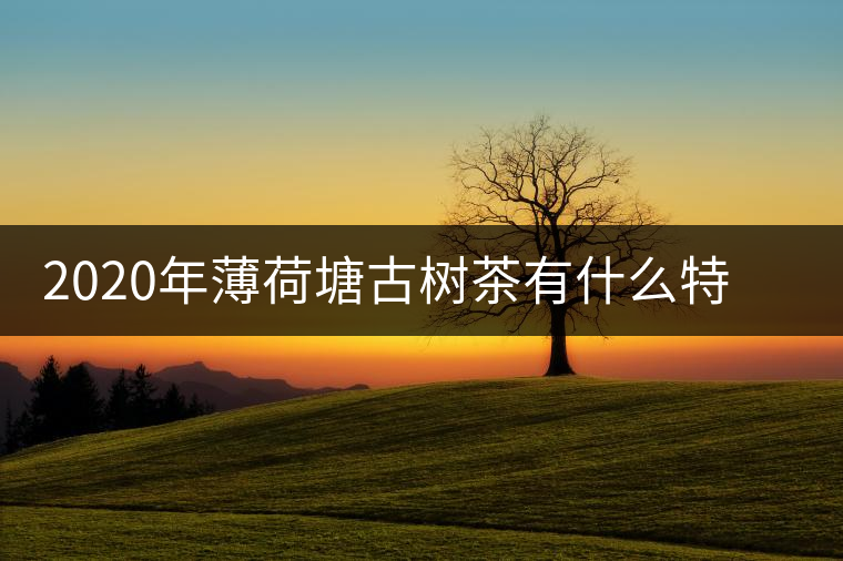 2020年薄荷塘古樹茶有什么特征？薄荷塘的價格及產(chǎn)量如何？-易武中聘號