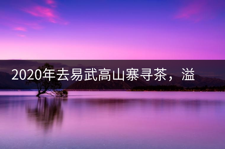 2020年去易武高山寨尋茶，溢滿茶香的古樹寨子-易武中聘號