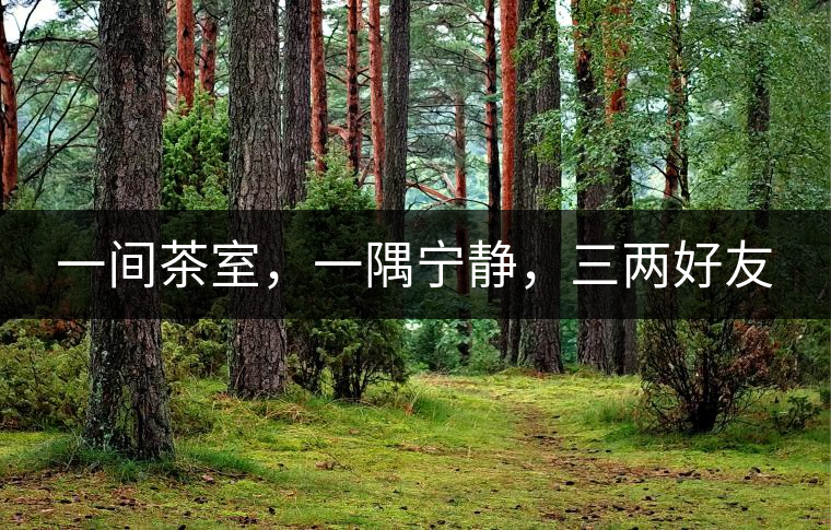 一間茶室，一隅寧靜，三兩好友