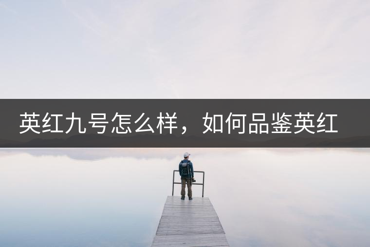 英紅九號怎么樣，如何品鑒英紅九號紅茶