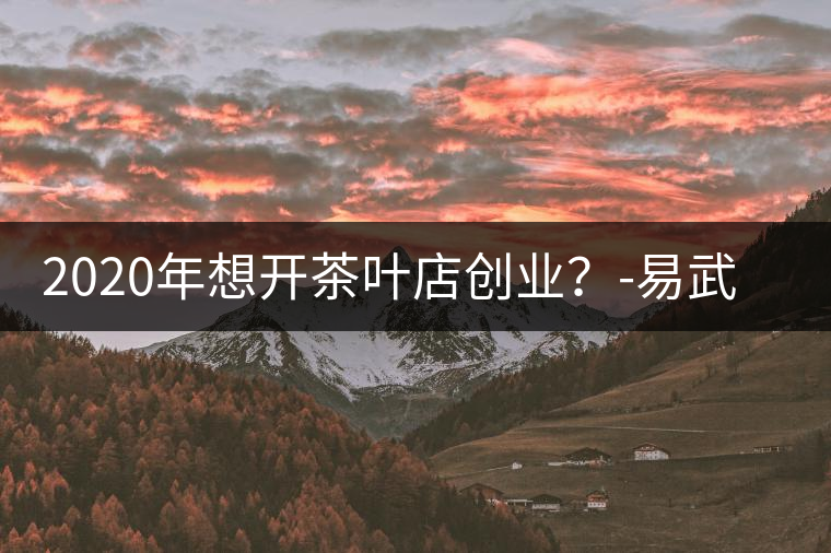 2020年想開茶葉店創(chuàng)業(yè)？-易武中聘號(hào)