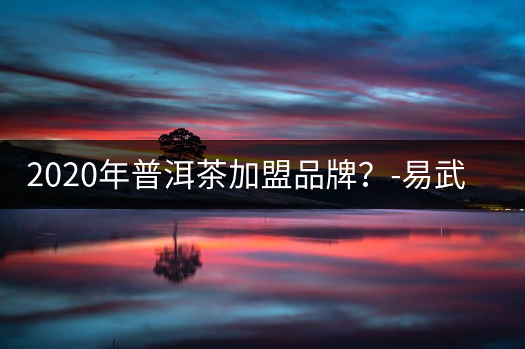 2020年普洱茶加盟品牌？-易武中聘號