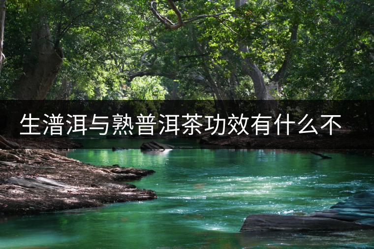 生潽洱與熟普洱茶功效有什么不同