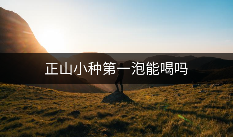 正山小種第一泡能喝嗎 正山小種第一泡能喝嗎