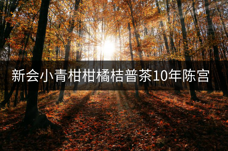 新會小青柑柑橘桔普茶10年陳宮廷陳皮普洱茶熟茶禮盒裝 皇譽(yù)茶葉 新會小青柑柑橘桔普茶10年陳宮廷陳皮普洱茶熟茶禮盒裝 皇譽(yù)茶葉