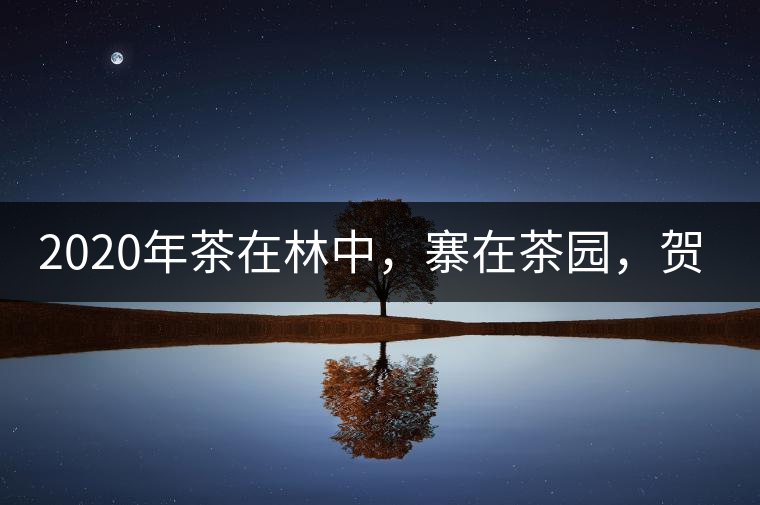 2020年茶在林中，寨在茶園，賀開古樹茶-易武中聘號