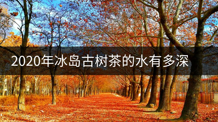 2020年冰島古樹茶的水有多深？別被蒙在鼓里啦-易武中聘號(hào)