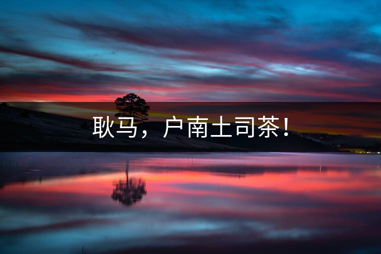 耿馬，戶南土司茶！