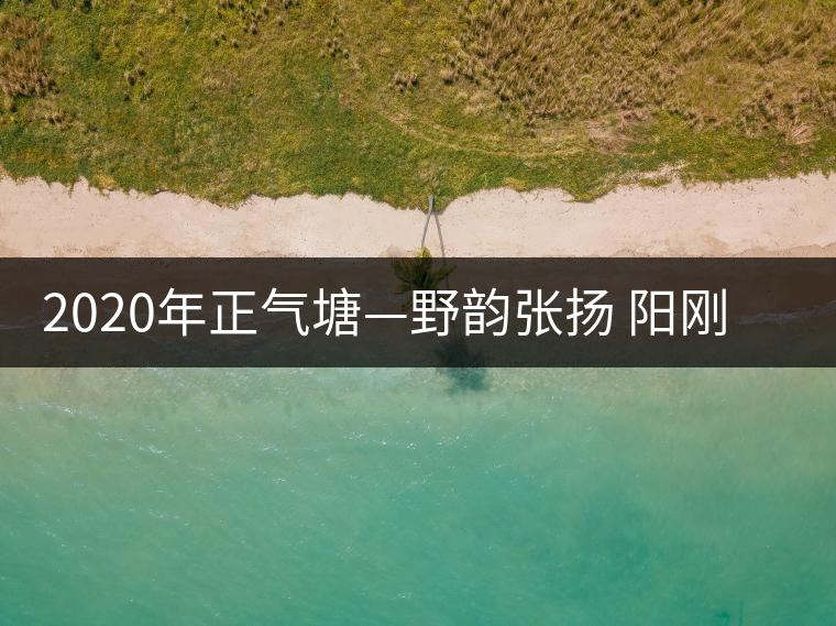 2020年正氣塘—野韻張揚(yáng) 陽剛豪邁-易武中聘號 2020年正氣塘—野韻張揚(yáng) 陽剛豪邁-易武中聘號