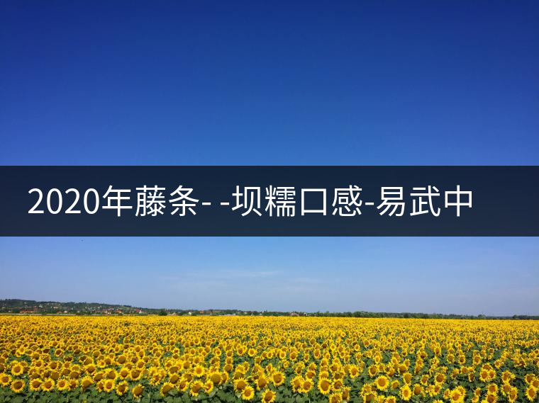 2020年藤條- -壩糯口感-易武中聘好