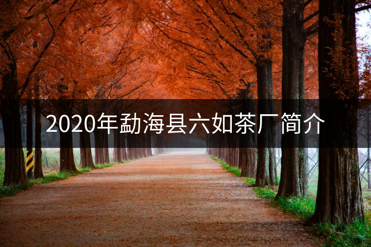 2020年勐?？h六如茶廠簡(jiǎn)介