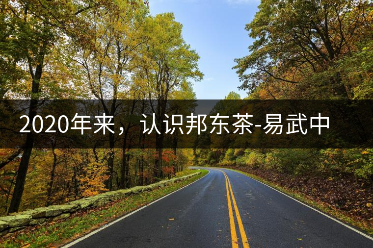 2020年來，認(rèn)識(shí)邦東茶-易武中聘號