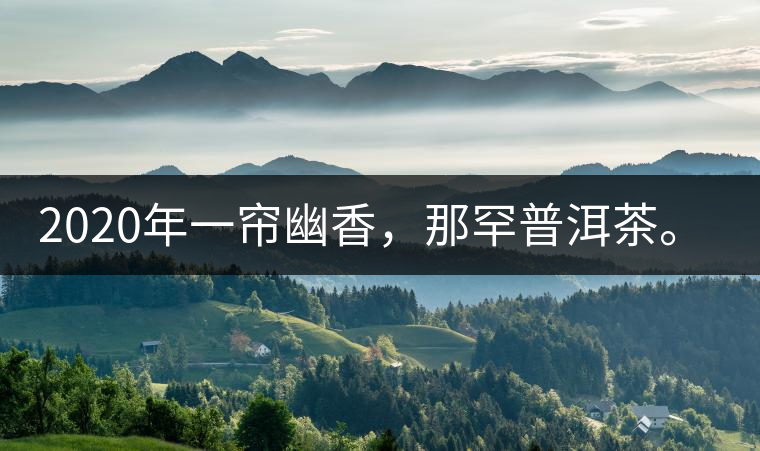 2020年一簾幽香，那罕普洱茶。-易武中聘號